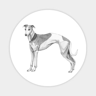 Whippet Magnet